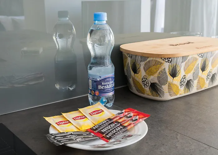 公寓 Royal Wilanow Chic 华沙